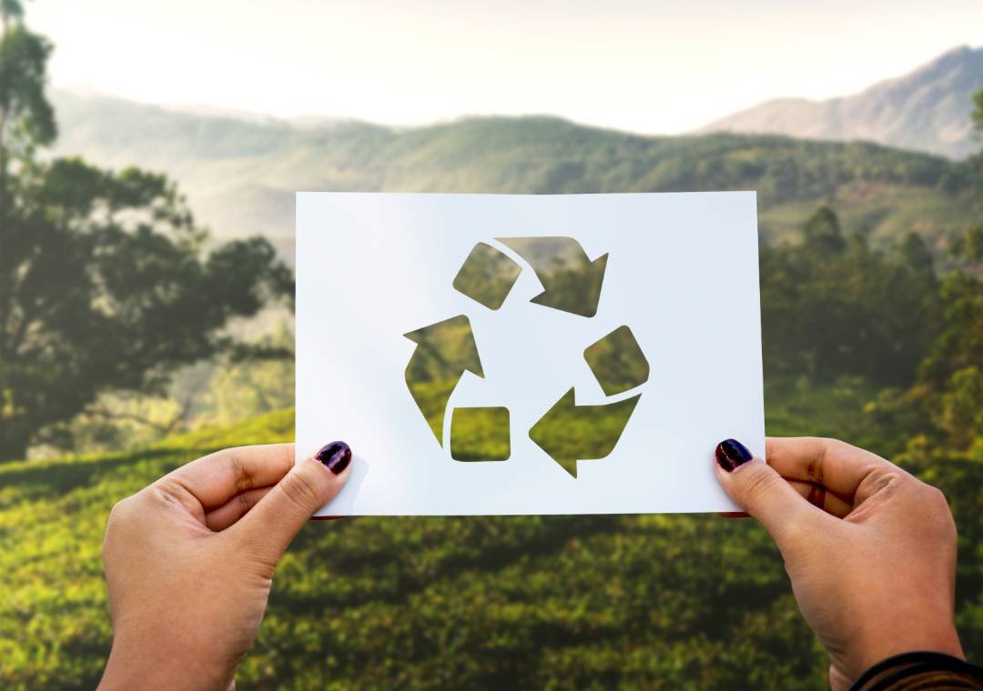 Economía Circular: El Compromiso Ambiental de Nuestra Empresa